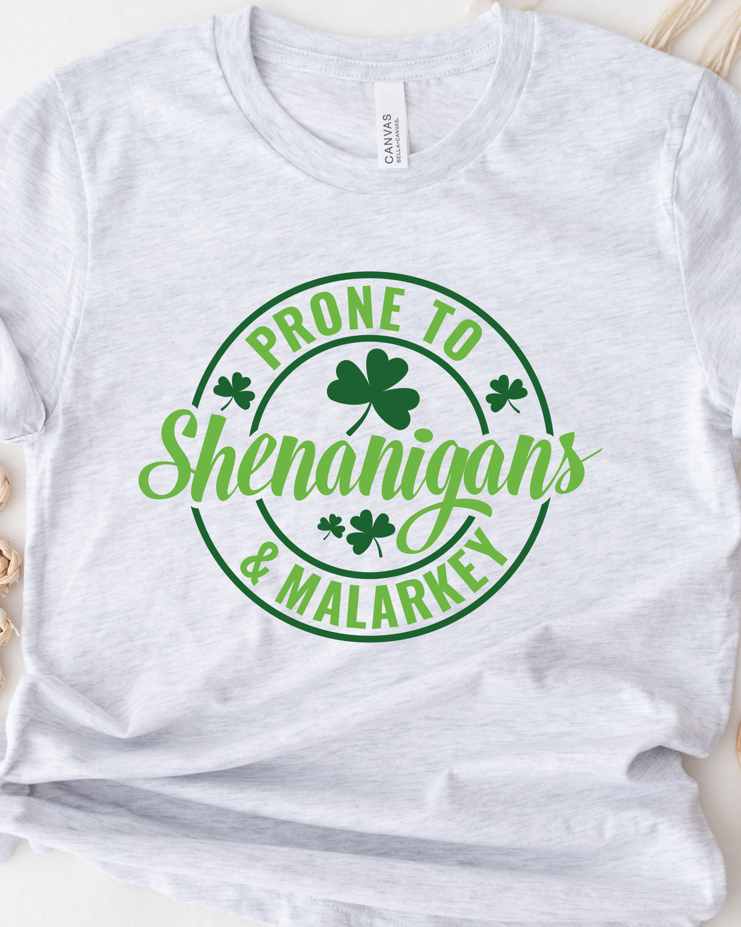 PRONE TO SHENANIGANS TEE (BELLA CANVAS)